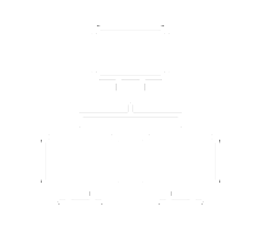 Network Icon