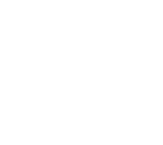 Secure Home Icon, Home Security, Security, Liquid Video Technologies, Greenville South Carolina Home Security, Security, Liquid Video Technologies, Greenville South Carolina