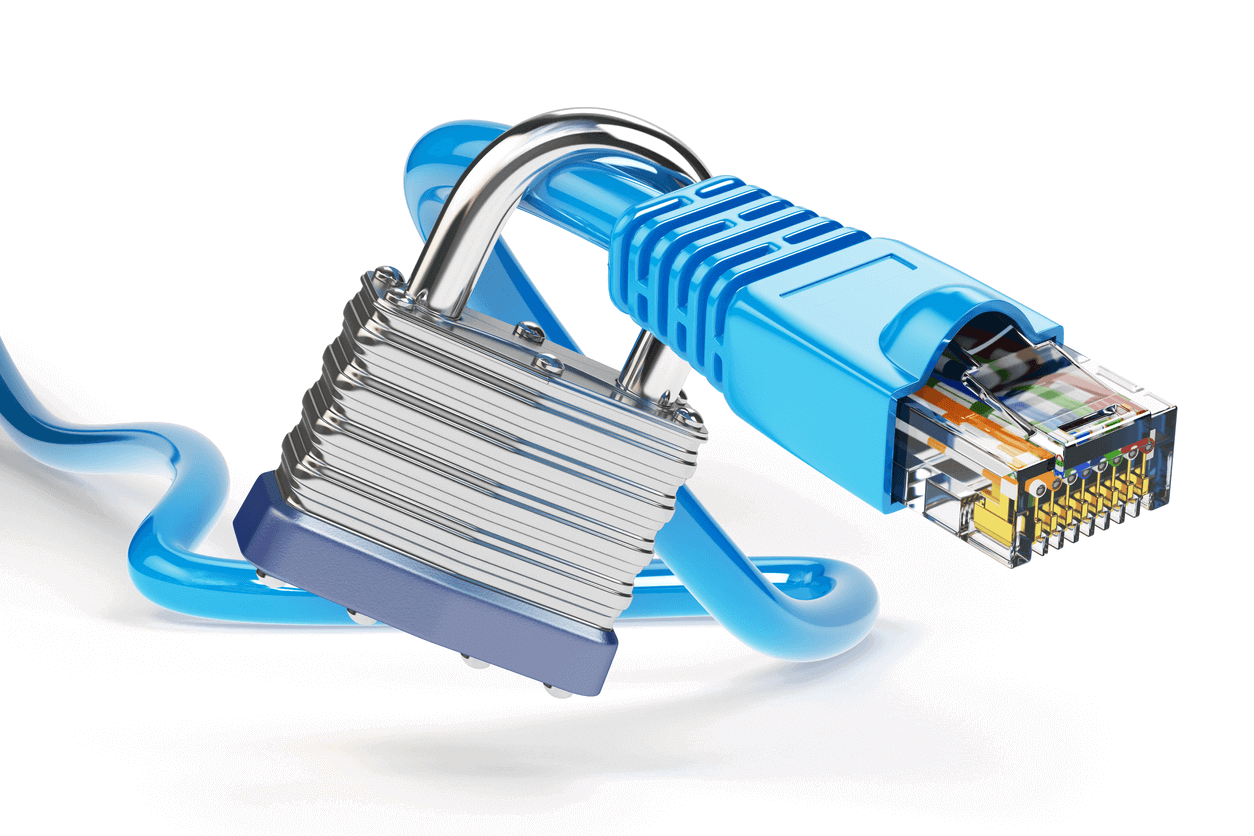 Network cable with lock, structured wiring network, Liquid Video Technologies, Greenville, South Carolina Network cable with lock, structured wiring network, Liquid Video Technologies, Greenville, South Carolina