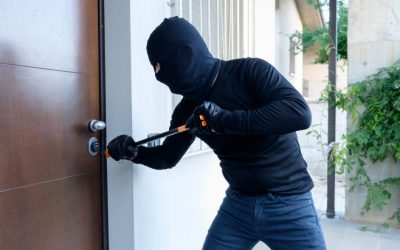 8 Security Burglary Facts