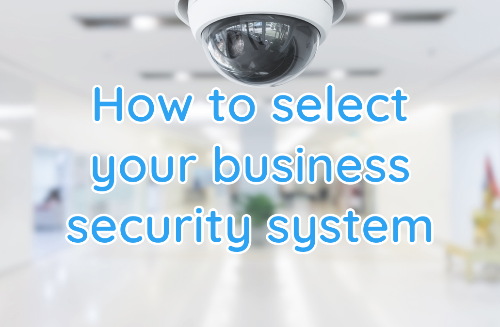 Business security system selection, Liquid Video Technologies, Greenville SC