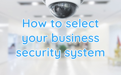 Business security system selection